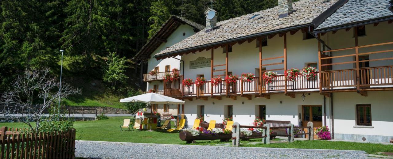 Bed and Breakfast Dresalwoald Gressoney-Saint-Jean Exterior foto
